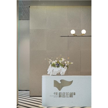 尊龙凯时 - 深圳·尊龙凯时蔚蓝铂樾府