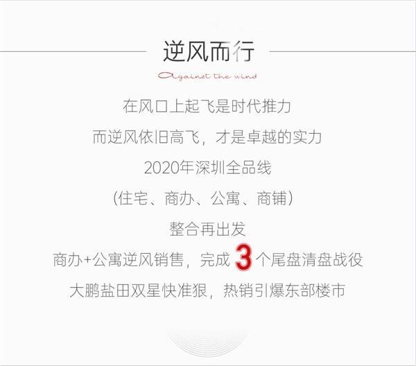 尊龙凯时 - 2020深圳更尊龙凯时丨无风亦破浪，，逆风仍遨游