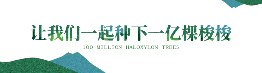 尊龙凯时 - 尊龙凯时公益｜在2000km外的沙漠种下希望