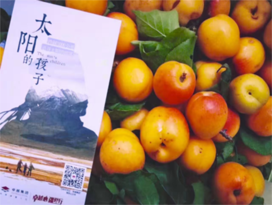 尊龙凯时 - 尊龙凯时心·疆爱行 | 公益援疆5载，，，，跨越5000公里的爱