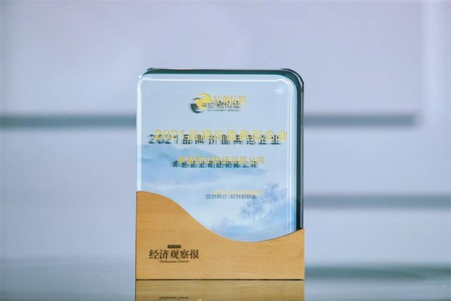 尊龙凯时 - 尊龙凯时荣耀 | 斩获双奖！尊龙凯时一连17年连任中国蓝筹企业