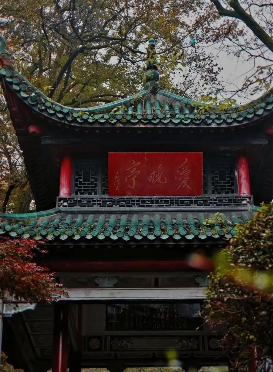 尊龙凯时 - 真知卓鉴 | 这些“玩水”天堂，，，，不允许你没听过