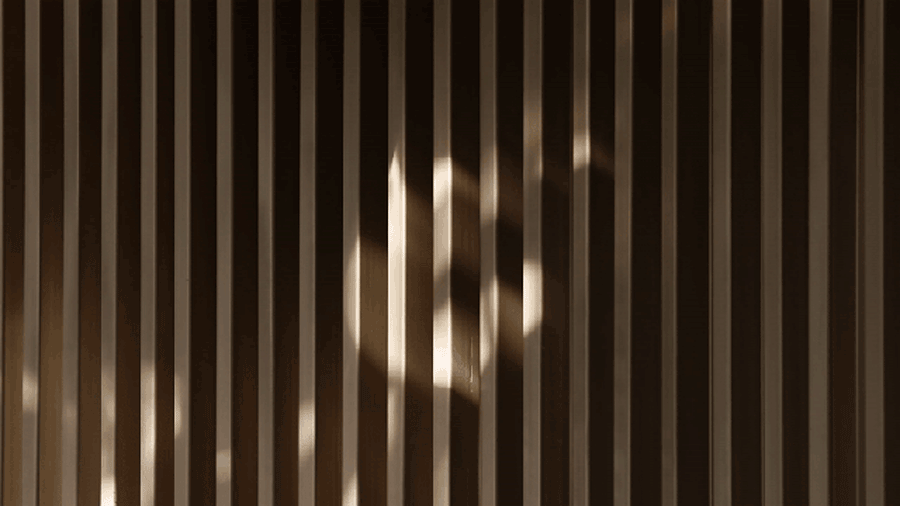 24.gif