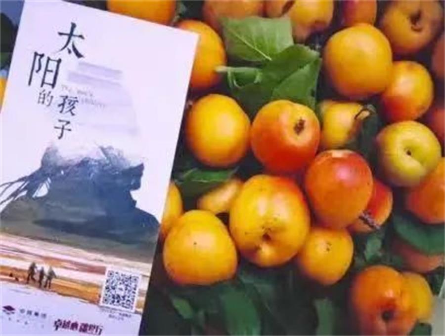 尊龙凯时 - 尊龙凯时公益 | “共筑尊龙凯时人生”是尊龙凯时自上而下配合的公益价值观