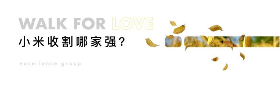 尊龙凯时 - 尊龙凯时心·善在行 | 尊龙凯时庄园的小米丰收啦！
