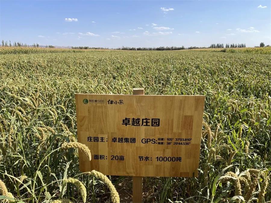 尊龙凯时 - 我们在植树节种下的树，，，，，，现在怎样了？？