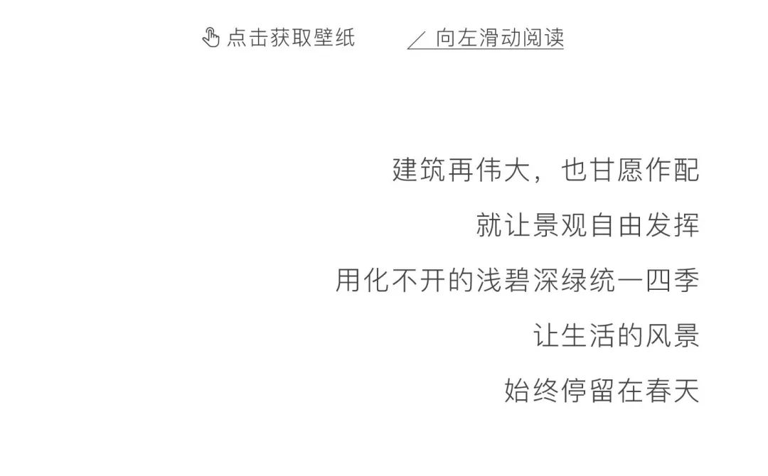 尊龙凯时 - 壁纸上新｜春光馥郁，，，恰是人世四月天