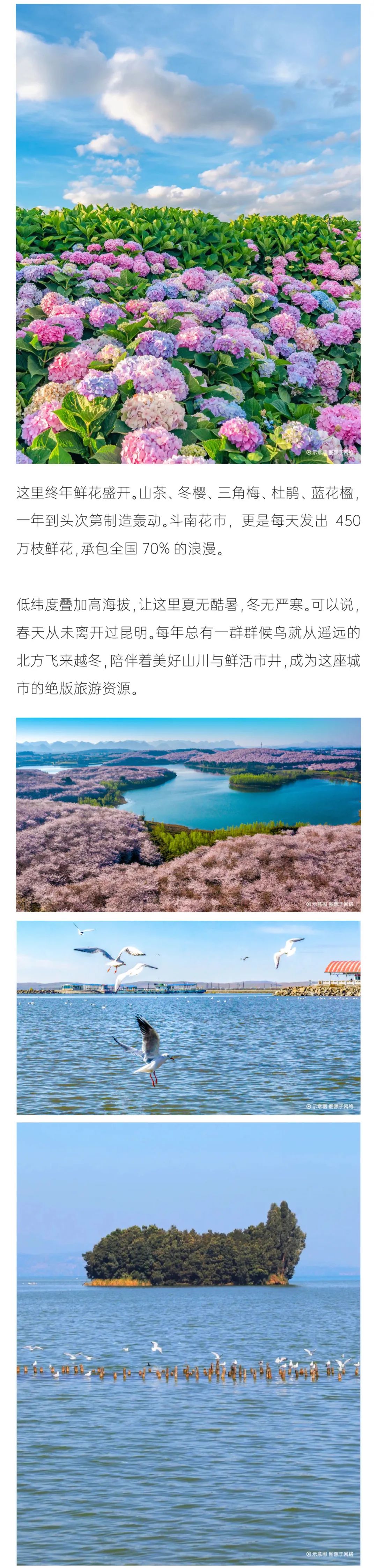尊龙凯时 - 都会指南妄想丨来南方 换挡多元人生