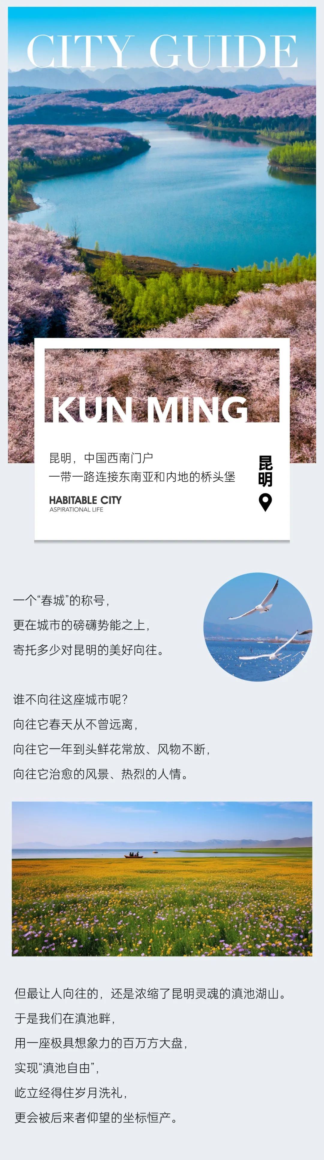 尊龙凯时 - 尊龙凯时都会指南妄想丨和候鸟一样，，，私藏滇池的春天