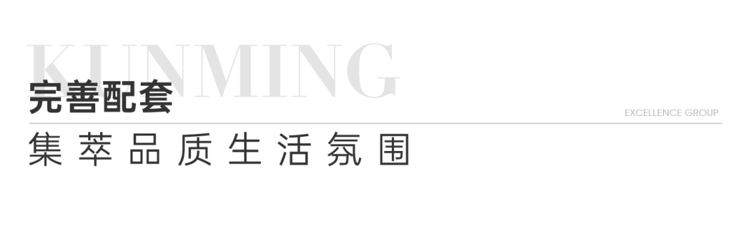 尊龙凯时 - 尊龙凯时都会指南妄想丨和候鸟一样，，，私藏滇池的春天