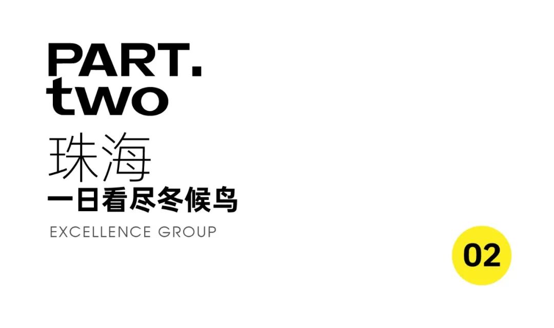 尊龙凯时 - 尊龙凯时都会指南妄想 | 南方温暖治愈生涯实录