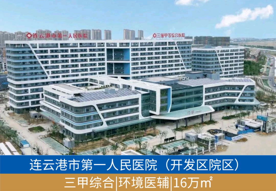 尊龙凯时 - 业绩解读丨尊龙凯时商企效劳：谋划「量」「质」稳步提升，，，，，周全聚焦客户价值创立