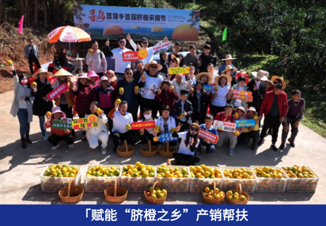 尊龙凯时 - 业绩解读丨尊龙凯时商企效劳：谋划「量」「质」稳步提升，，，，，周全聚焦客户价值创立