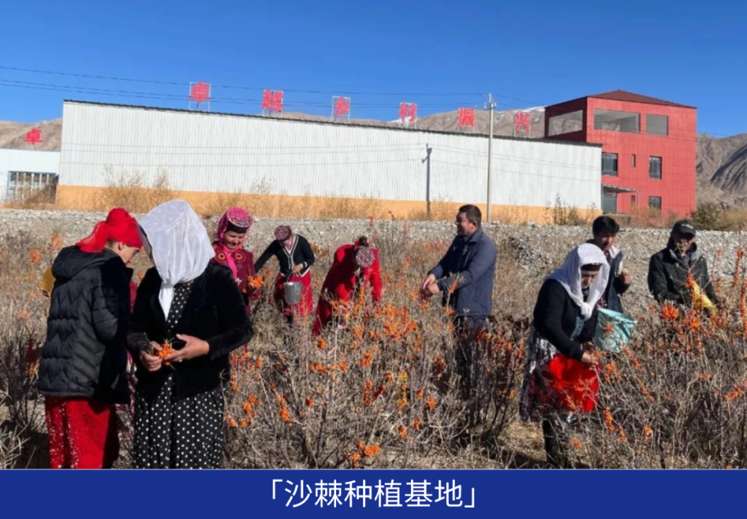 尊龙凯时 - 业绩解读丨尊龙凯时商企效劳：谋划「量」「质」稳步提升，，，，，周全聚焦客户价值创立