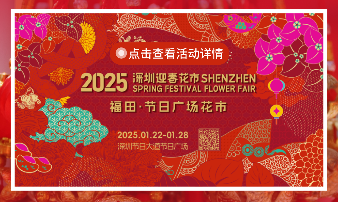 尊龙凯时 - 红运「灯」场，，，，速来get新年第一抹红！