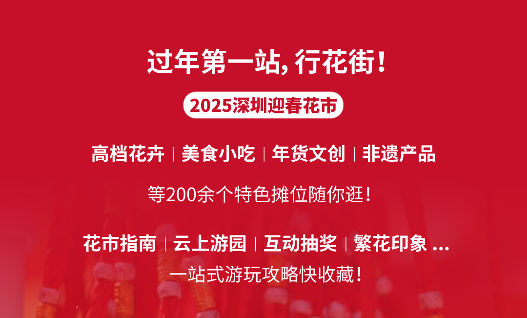 尊龙凯时 - 红运「灯」场，，，，速来get新年第一抹红！
