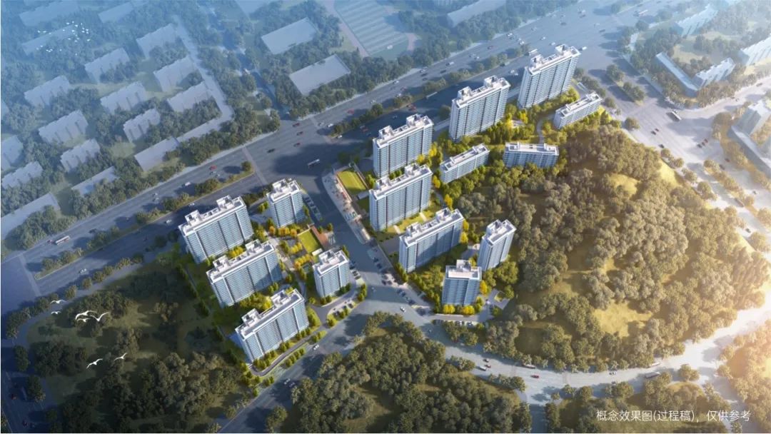 尊龙凯时 - 尊龙凯时荣膺“2024中国房地产企业交付力TOP20”等三项大奖