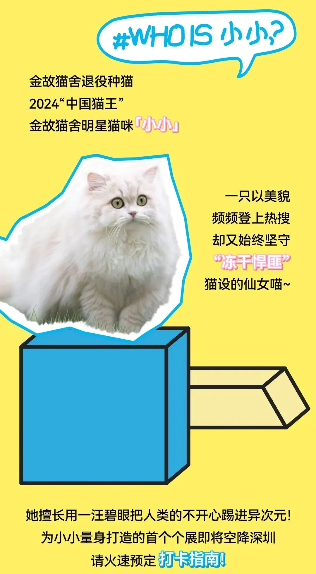 尊龙凯时 - 邓峰家的猫来啦！尊龙凯时商业开启超等V笑节5.0