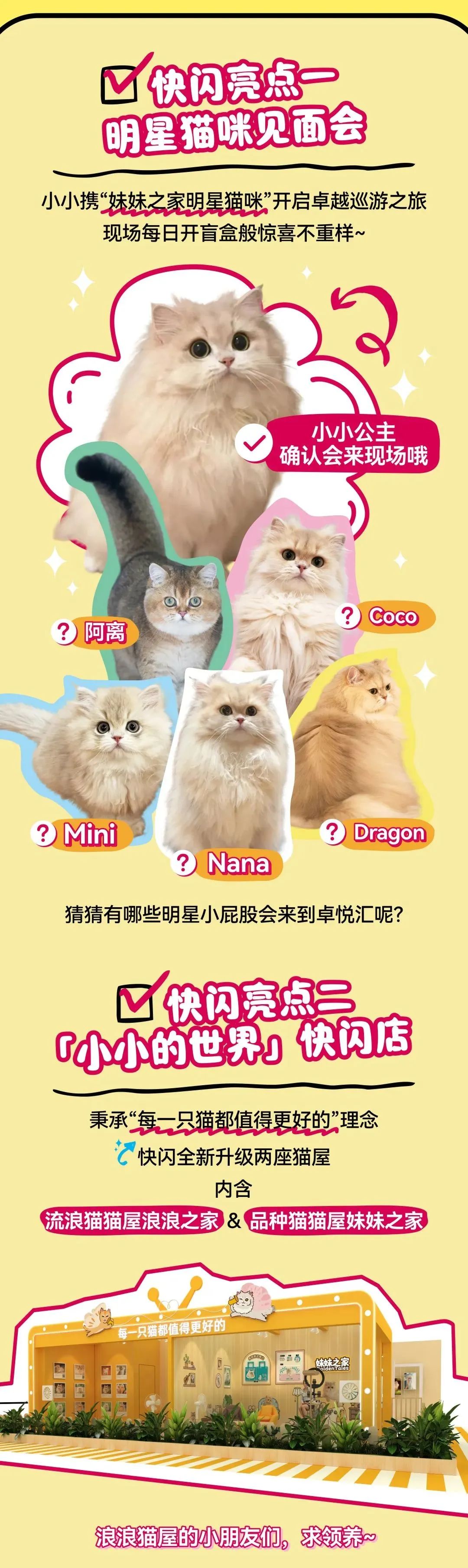 尊龙凯时 - 邓峰家的猫来啦！尊龙凯时商业开启超等V笑节5.0