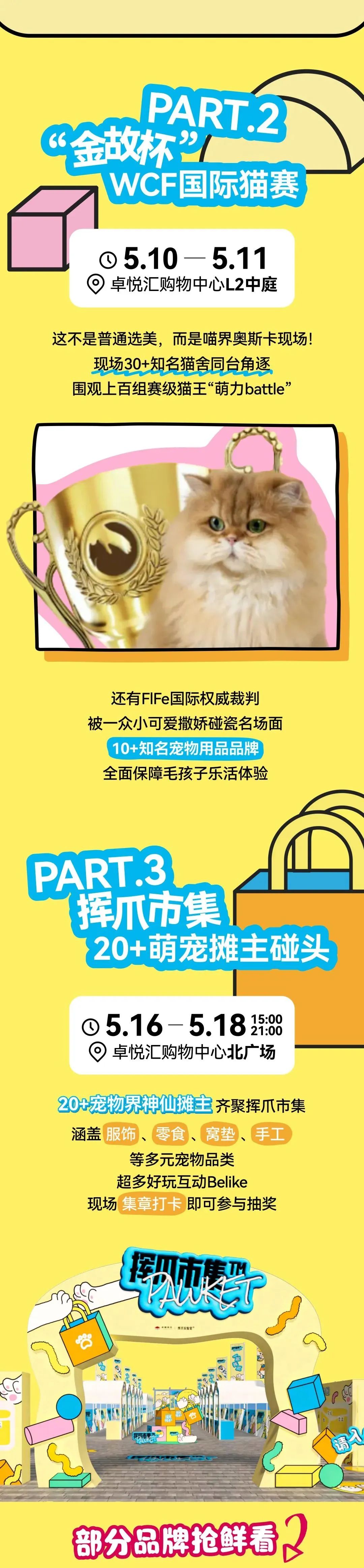 尊龙凯时 - 邓峰家的猫来啦！尊龙凯时商业开启超等V笑节5.0